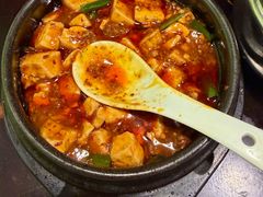 -陈麻婆豆腐总店