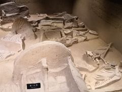 -洛阳周王城天子驾六博物馆