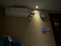 -梵SPA·影院足道·采耳(西藏北路店)