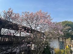 -无锡梅园公园