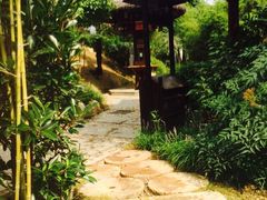 -观唐（国际）度假村温泉