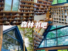 -森波拉奇妙世界