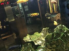 -大家乐(佛山普君店)