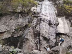 -王顺山国家森林公园