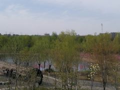 -永定河休闲森林公园