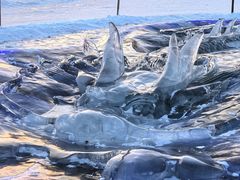 -长春市南湖公园