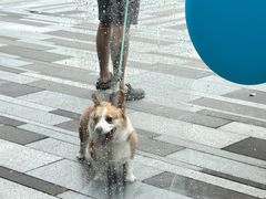 -DRUNK BAKER (上海漕宝路店)