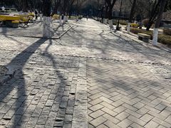 -山东大学(趵突泉校区)
