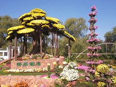 -共青国家森林公园-南大门停车场