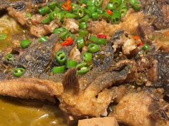 -老板恋上鱼(恒隆广场店)