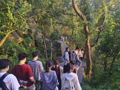 -紫金山山顶公园