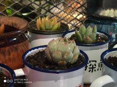 -探鱼·鲜青椒爽麻烤鱼(西南商都店)
