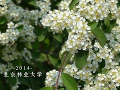 -国家植物园