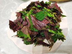 苏子叶-漕河全驴宴饭店(徐水店)