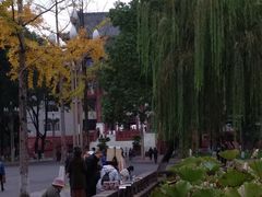 -四川大学(望江校区)