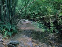 -紫云谷景区
