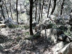 -沂蒙山旅游区云蒙景区(蒙山国家森林公园)
