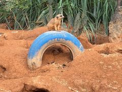-杭州野生动物世界
