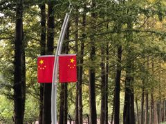 -日照海滨国家森林公园