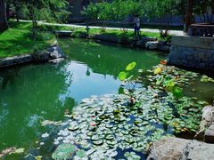 -三里河公园