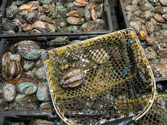 -海鲜e族(马王堆店)