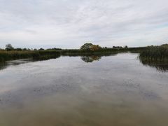 -盐城丹顶鹤湿地生态旅游区