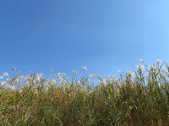 -汉江湾体育公园