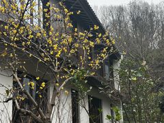 -杭州雅谷泉山庄酒店-餐厅