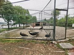 -宁波九龙湖开元度假村