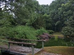 -九曲溪竹筏码头