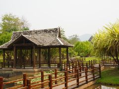-西双版纳原始森林公园