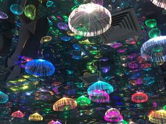 -苏州5D星空错觉艺术馆