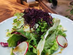 -森味薪火烧•烧鸟居酒屋•日本料理(望京店)