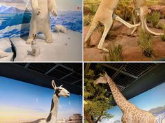 -陕西自然博物馆