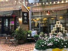 -有猫主题·治愈系猫咖(曾厝垵店)