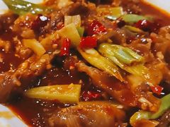 -敦煌达记酱驴肉黄面馆