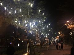 -映月湖中央公园