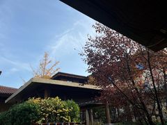 -大连金石滩绿发温泉假日酒店