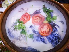 -全乐鱼馆·淳牌有机鱼直营店