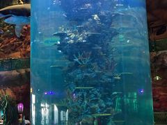 -青岛嘉年华主题乐园