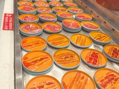 -食尚名肴自助涮烤