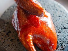 -广州富力君悦大酒店空中花园