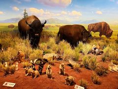 -陕西自然博物馆