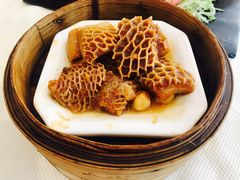 柱候金钱肚-万山楼海鲜酒家·二十三年老字号