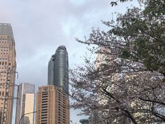 -西北湖绿化广场