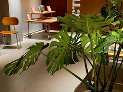 -上海市皮肤病医院(武夷路院区)