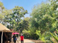 -威勒比开放式动物园