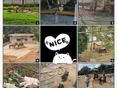 -泉州海丝野生动物世界