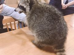 -藦茜花园宠物主题亲子互动体验馆(国顺东路店)