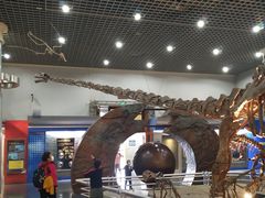 -国家自然博物馆